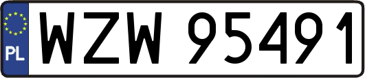 WZW95491