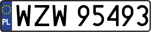 WZW95493