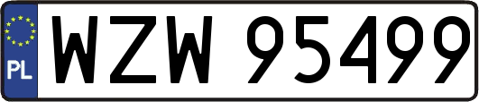 WZW95499