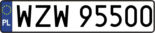 WZW95500
