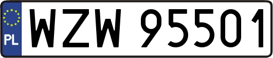 WZW95501
