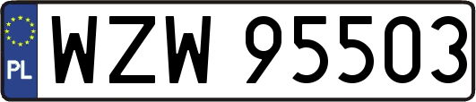 WZW95503