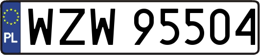 WZW95504