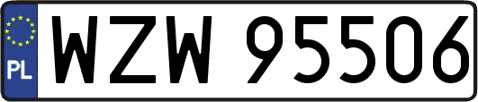 WZW95506