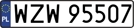 WZW95507