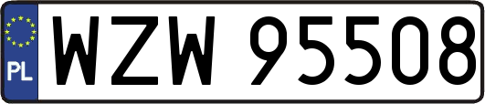 WZW95508