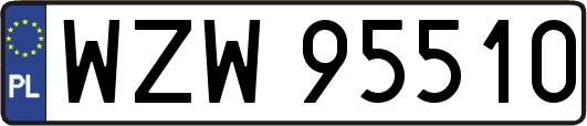 WZW95510