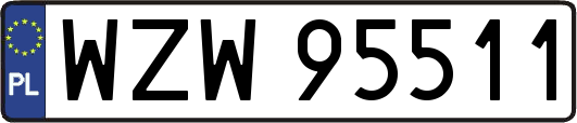 WZW95511