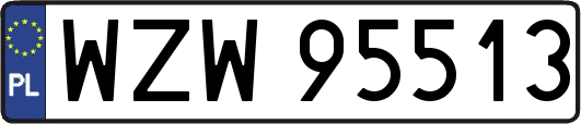 WZW95513
