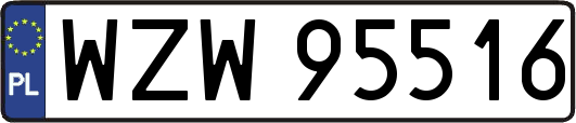 WZW95516
