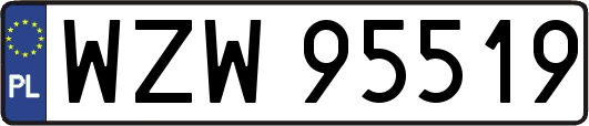 WZW95519