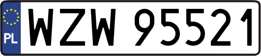 WZW95521