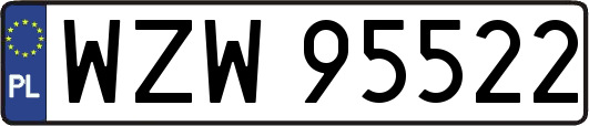 WZW95522
