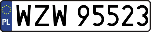 WZW95523