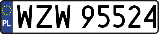 WZW95524
