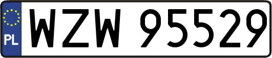 WZW95529