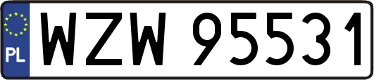WZW95531