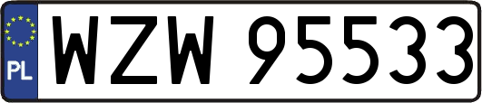 WZW95533