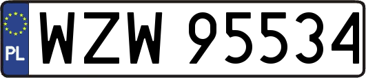 WZW95534