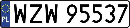 WZW95537