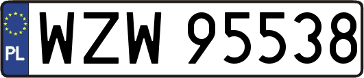 WZW95538