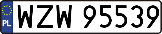 WZW95539