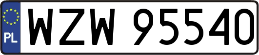 WZW95540