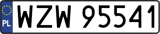 WZW95541
