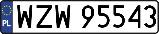 WZW95543