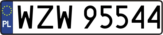 WZW95544