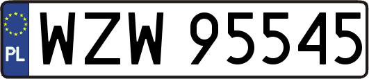 WZW95545