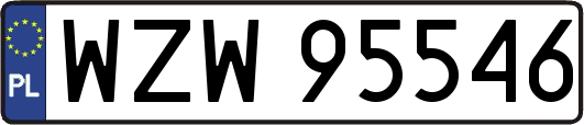WZW95546