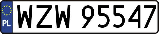 WZW95547