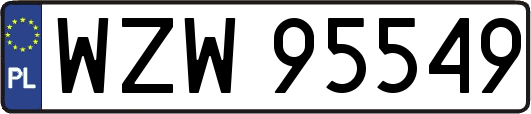 WZW95549