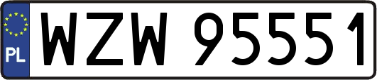 WZW95551