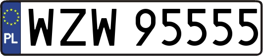 WZW95555