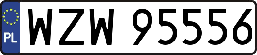 WZW95556