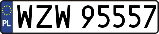 WZW95557