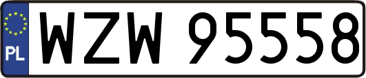 WZW95558