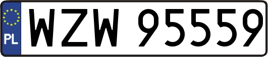 WZW95559