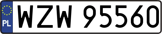 WZW95560