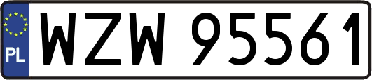 WZW95561