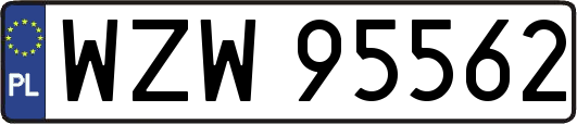 WZW95562