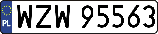 WZW95563