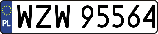 WZW95564