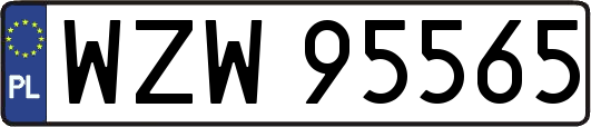 WZW95565