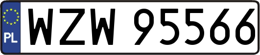 WZW95566