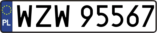 WZW95567