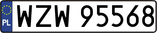 WZW95568