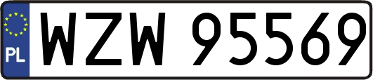 WZW95569
